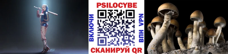 наркошоп  Татарск  Галлюциногенные грибы мухоморы 